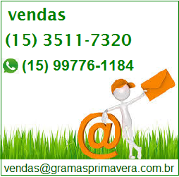 Comprar grama Paraná